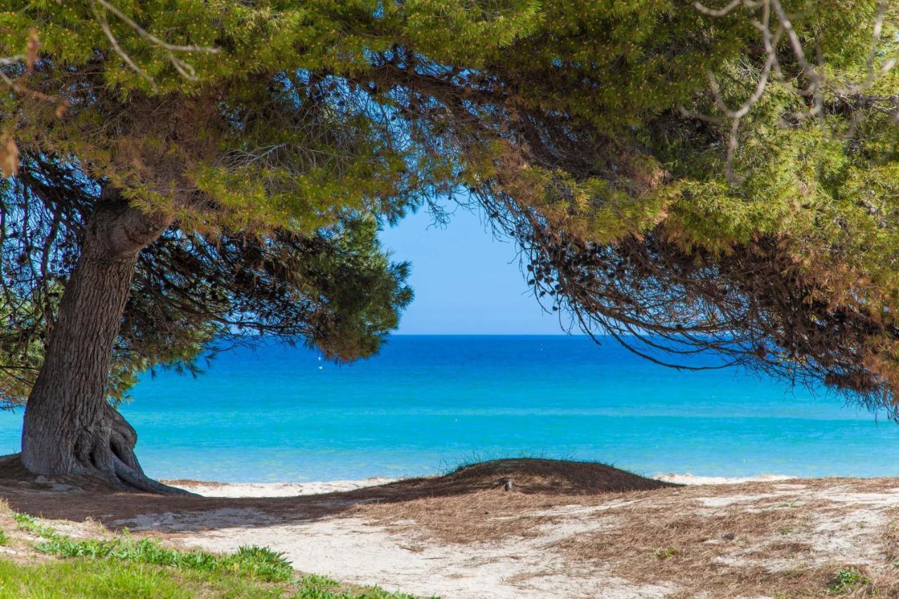 Violeta De Mar Villa Playa de Muro  Dış mekan fotoğraf